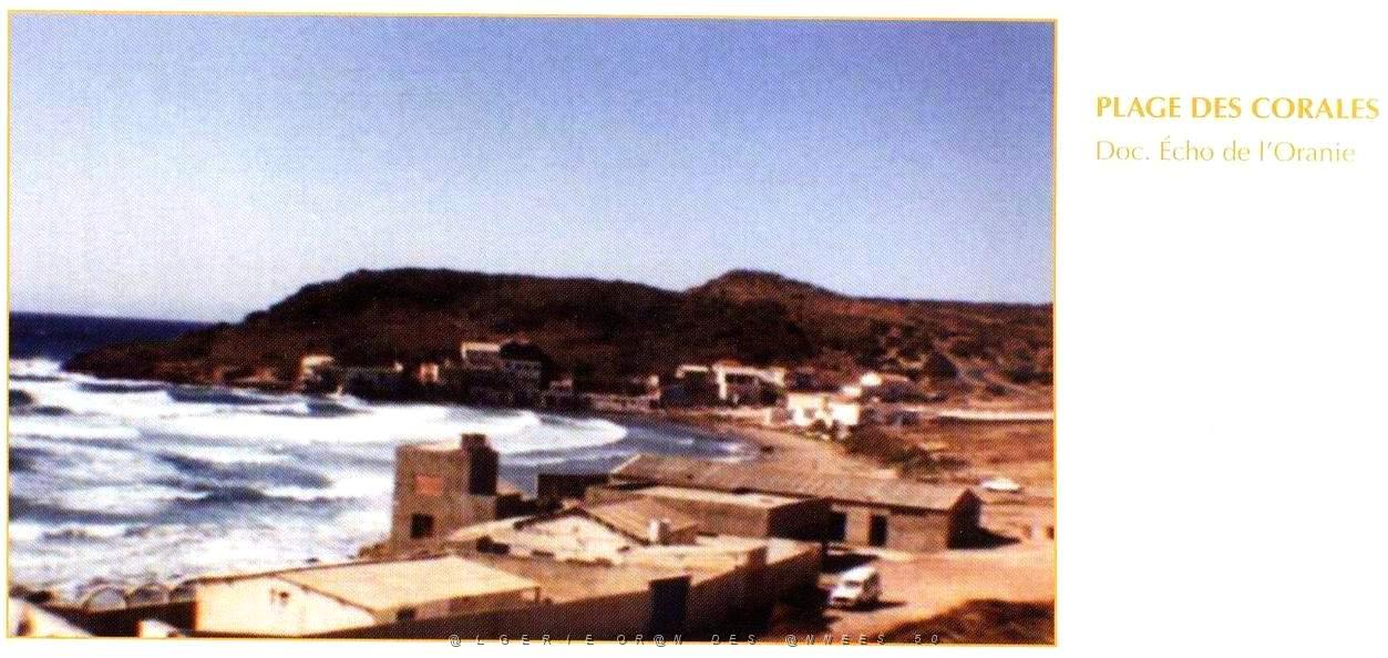 CO ja- 011- Madrague.jpg